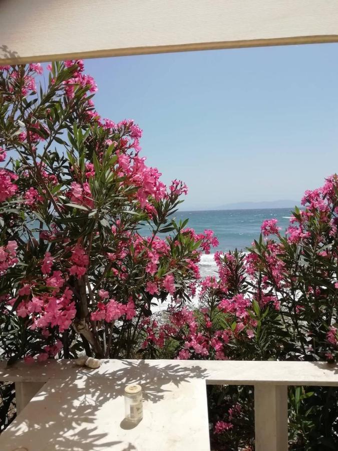 "Sea Front" Rose'S House Villa Kardhiani ภายนอก รูปภาพ