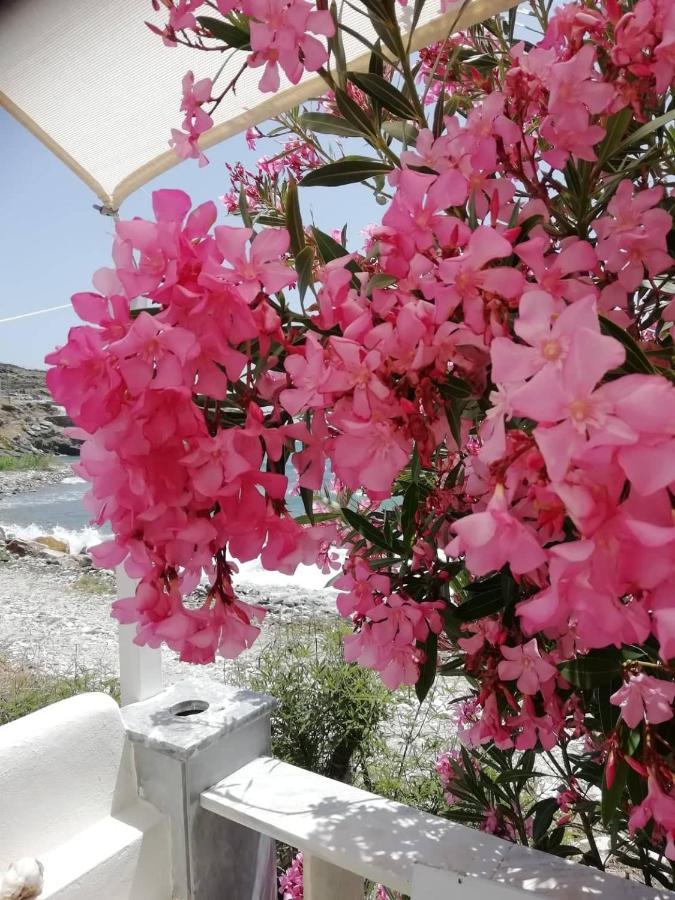 "Sea Front" Rose'S House Villa Kardhiani ภายนอก รูปภาพ