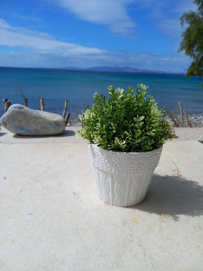 "Sea Front" Rose'S House Villa Kardhiani ภายนอก รูปภาพ